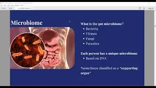 Gut Health: Nutrition for a Health Colon Webinar