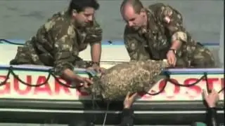 OPERAZIONE MARE SICURO 2015