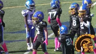 Detroit City Lions vs. Southfield Falcons (8U) Game Highlights (10-5-2024)