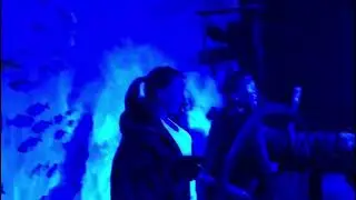 Amsterdam Ice Bar