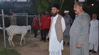 Hazrat peer Naqib Ur Rehman Sahab Visit Gulf Cattle Farm 16/07/2021