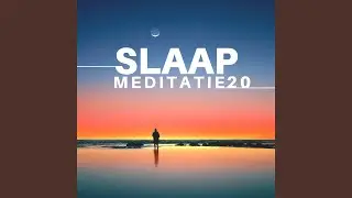 Volledige onderdompeling
