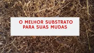 COMO FAZER SUBSTRATO DA CASCA DO COCO