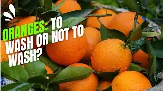 Oranges & Hygiene: Wash or Eat? 🍊