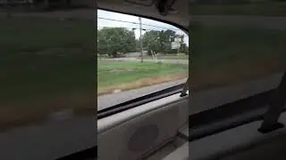 Back side view car drive #cardrive #carride #cardriveasmr #carrideasmr #ASMR #shorts #youtubeshorts