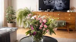 Indoors plants that grows rapidly #indoorplants