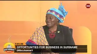 Amb Fidelia Graand-Galon:There are incentives for land for agriculture in Suriname