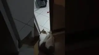 oh noooo why