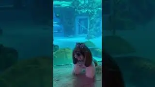 Ishika at Ocean Park watching spotted seals.