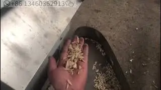 High Quality Peanut Kernel Stripping Machine Almond Slivering Peanut Splitting Machine