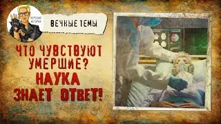 Что чувствуют умершие? Наука знает ответ!