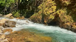 Ultra Deep Sleep River ASMR 🌊 Soothing Water Flow for Insomnia & Relaxation. Water Sounds, No Birds