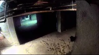 The Den (2013) Jump Scare - Elizabeth Runs Into Trouble
