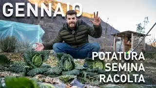 GENNAIO nell' ORTO e FRUTTETO, 3 lavori da fare 