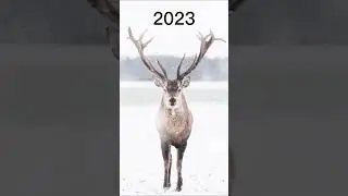 2023 Reindeer and 5000bce reindeer||mythical biology|| #shortvideo