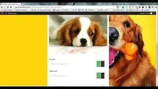 Viral Lead Machine Campaign Duplication