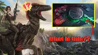 ЧТО будет следующим крупным сотрудничеством от Ark???