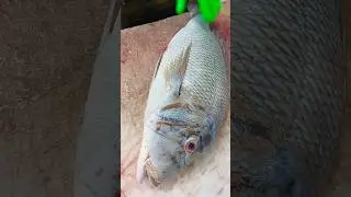 Fish Cutting 🐠 spangled emperor