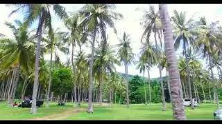 Destinasi wisata Alang-Alang Lombok Nusa Tenggara Barat