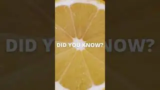 Are you curious about how Lemons float on water  #trendingshorts #viralshorts #shortsvideos #Lemons