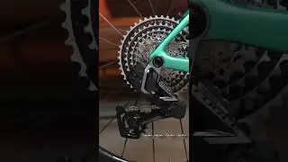Factor Monza in Steel Green😍