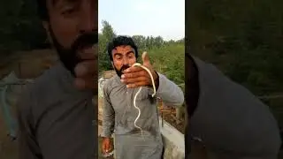 Takar vines short Funny Video #shorts #takarvines
