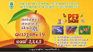 Malabar mango fest