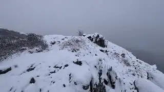 On top of Mont Healy trail @Alaska Denali national Park 