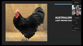 Episode 3: Chicken Care and Laws for Selling Eggs & Broilers