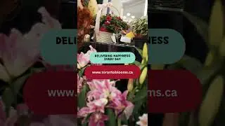 Toronto Blooms | Valentines flowers | Toronto flowers delivery #shorts #channel #chocolates #canada