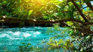 WATER & ROCKS ASMR, CALMING FLOWING WATER FOR INSOMNIA RELIEF