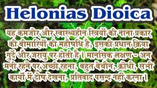 Helonias Dioica !! Homeopathic Medicine !! #bydrncghosh