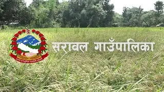 कृषि र पशु पालनमा अग्रसर सरावल गाउँपालिका ||