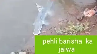 Pehli barish ka pehla jalwa Big  singhad