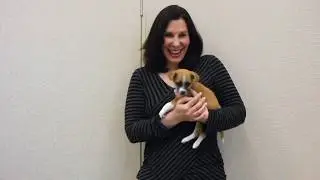 Thank you from Humane Society Silicon Valley