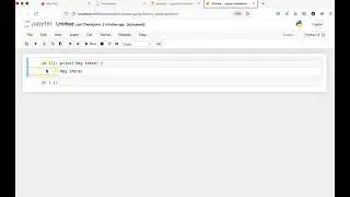 Running a Jupyter notebook and its cells