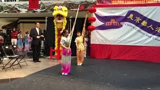 US Wushu Academy 2018 Chineses New Year Performance at Lakeforest Mall