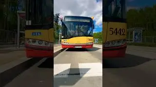 #5442 na #173 |dzięki za światełka (daily dzień 157) pozdro dla @Mkm_z_ursynowa