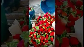At&ccedil;a &ccedil;ileği kalitenin tek adresi