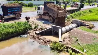 Incredible Working Project Landfill Delete Drain Flooded area -Bulldozer push with 5T Trucks Unloa..