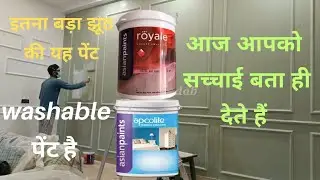 कोनसा पेंट आपके लिए सही है | royal paint vs apcolite premium paint | royale paint | apcolite paint