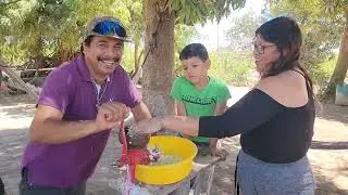 @ElGatoParadoOficial asi preparamos tamales de elote estilo guasave sinaloa