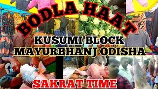WEEKLY MARKET (BADLA HAAT, KUSUMI BLOCK, MAYURBHANJ ODISHA-2022)