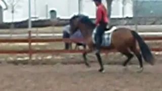 CIMG0644.AVI