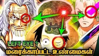 onepiece left eye theory tamil || onepiece tamil ||