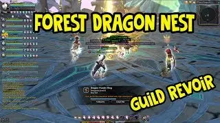 Forest Dragon Nest-Guild RevoiR