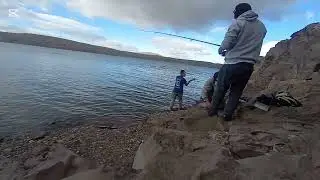 Lindas truchas probando diferente lugar 🎣