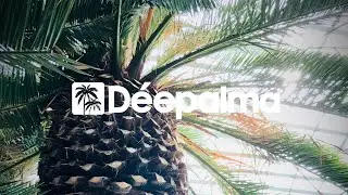 Gorge - Take U (Original Mix) [Déepalma Records]