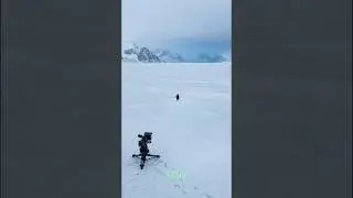 How The Penguin Documentary Was Filmed 🎬🐧