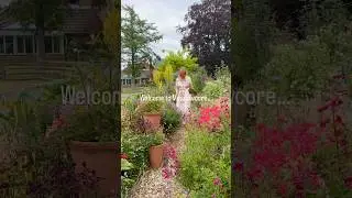 Welcome to Meadowcore&hellip; #cozyfall #garden #summersover